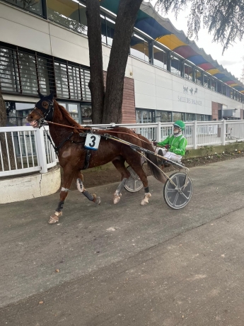 Vends-3-parts-10--FURIOSO-SMILING-600€-la-part-1