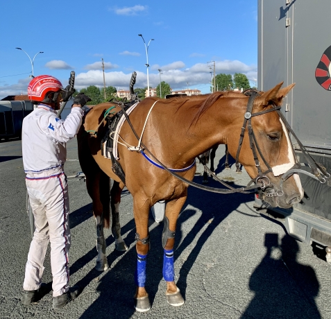 Kookia-de-Montceau-cherche-entraineur-ou-a-vendre-0