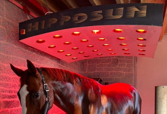 Solarium-pour-chevaux-HippoSun--HIPPOCENTER