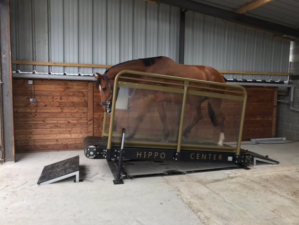 Tapis-roulant-Hippotrainer-Plus--HIPPOCENTER