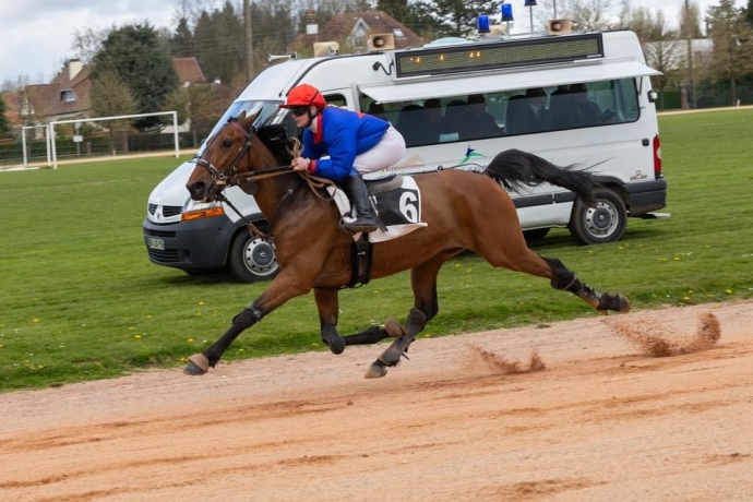 Recherche-chevaux-montes