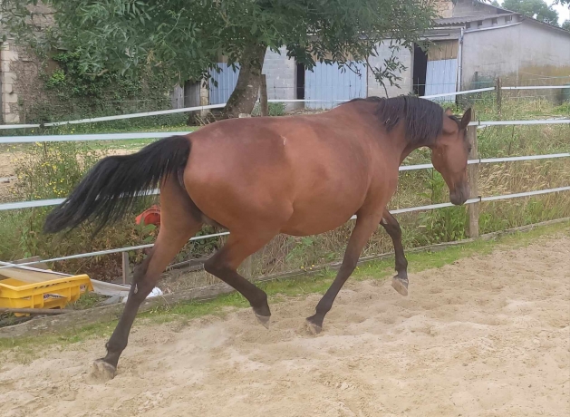 Propre-soeur-de-Timoko