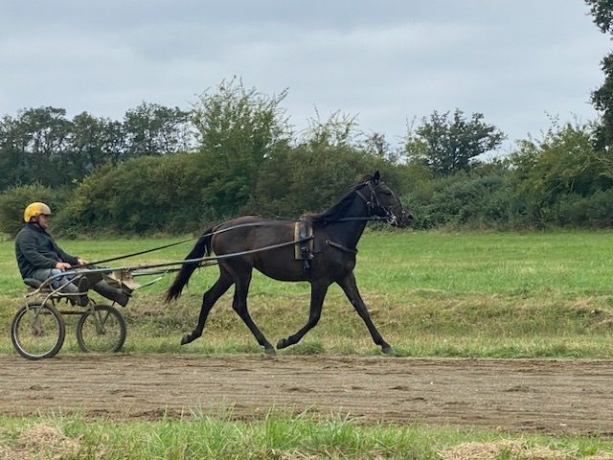 Nestor-closbuis--Invincible-Cash-x-fille-Coktail-jet