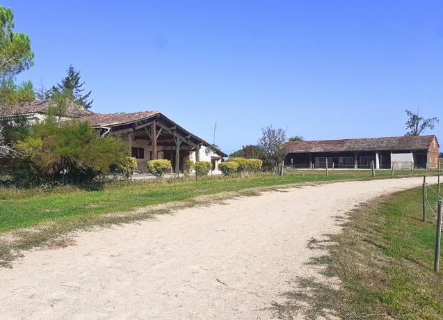 Belle-propriete-equestre-a-30-km-au-sud-de-Bergerac-avec-piste-et-ecurie-5