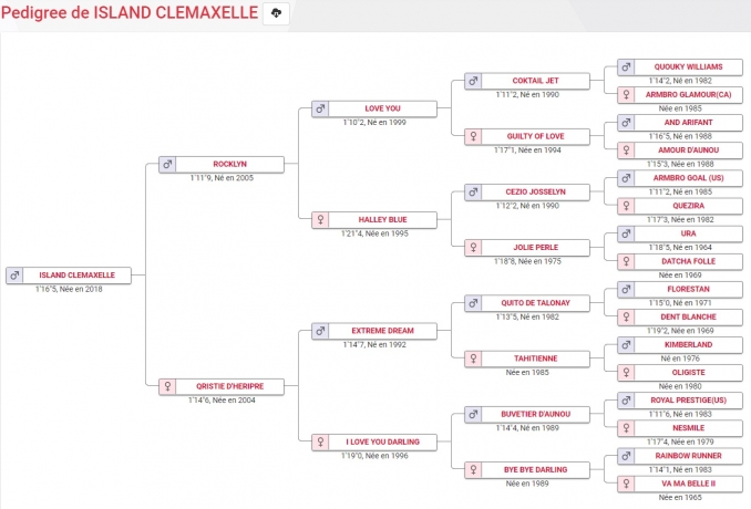 ISLAND-CLEMAXELLE-(Rocklyn---Qristie-d’Heripre)-1’16-26-910€-de-gains-1