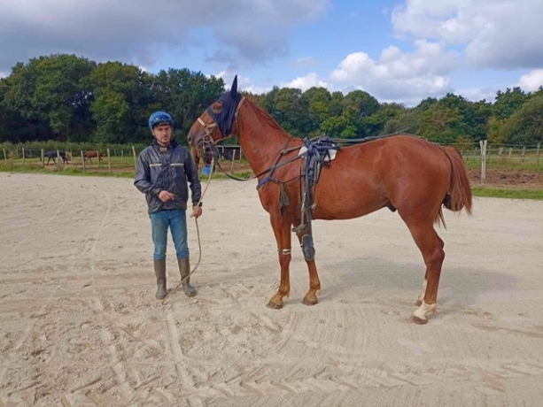 Chevaux-pret-a-courir