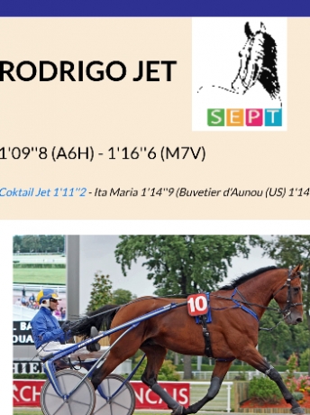 A-vendre-saillie-Rodrigo-Jet