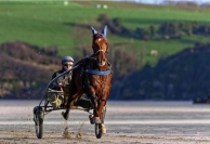 Chevaux-a-courir