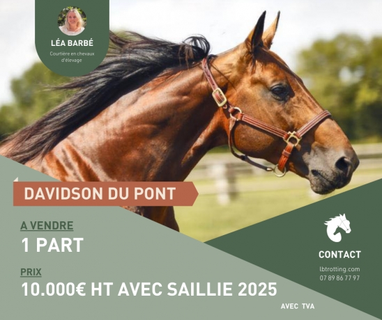 PART-DE-DAVIDSON-DU-PONT-AVEC-SAILLIE-2025-0