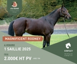 SAILLIE-MAGNIFICENT-RODNEY