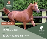 Saillie-UNICLOVE