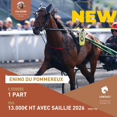 PART-ENINO-DU-POMMEREUX